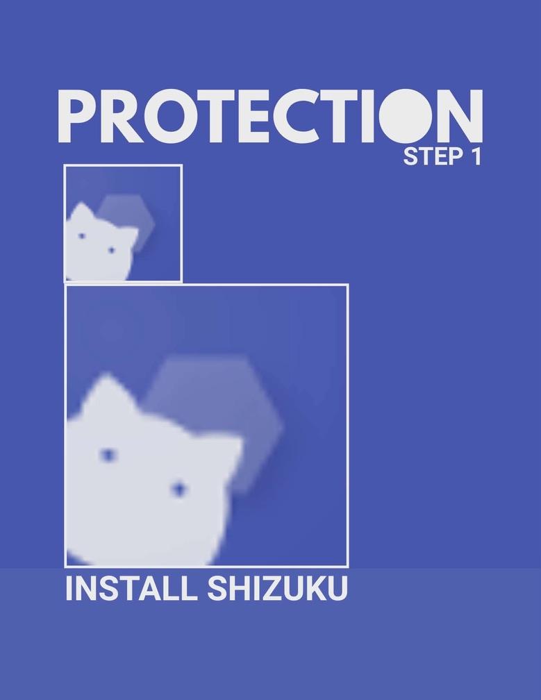 Protection step 1: Install Shizuku